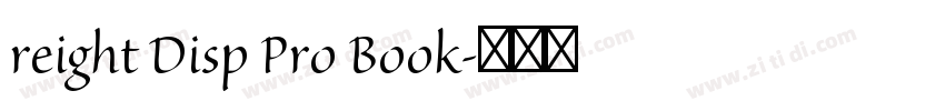 reight Disp Pro Book字体转换